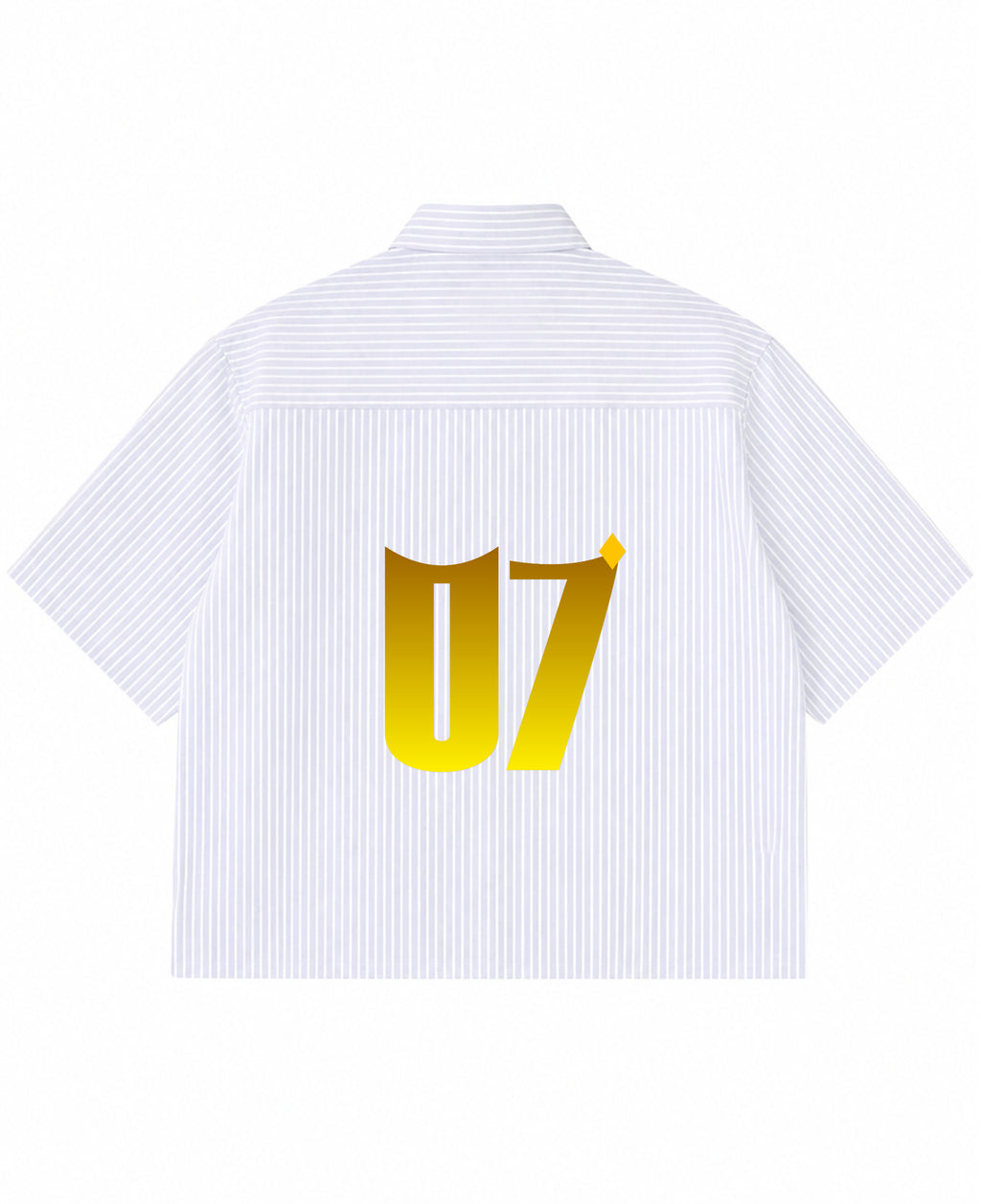 Blue Striped Oxford Boxy Shirt Back Design