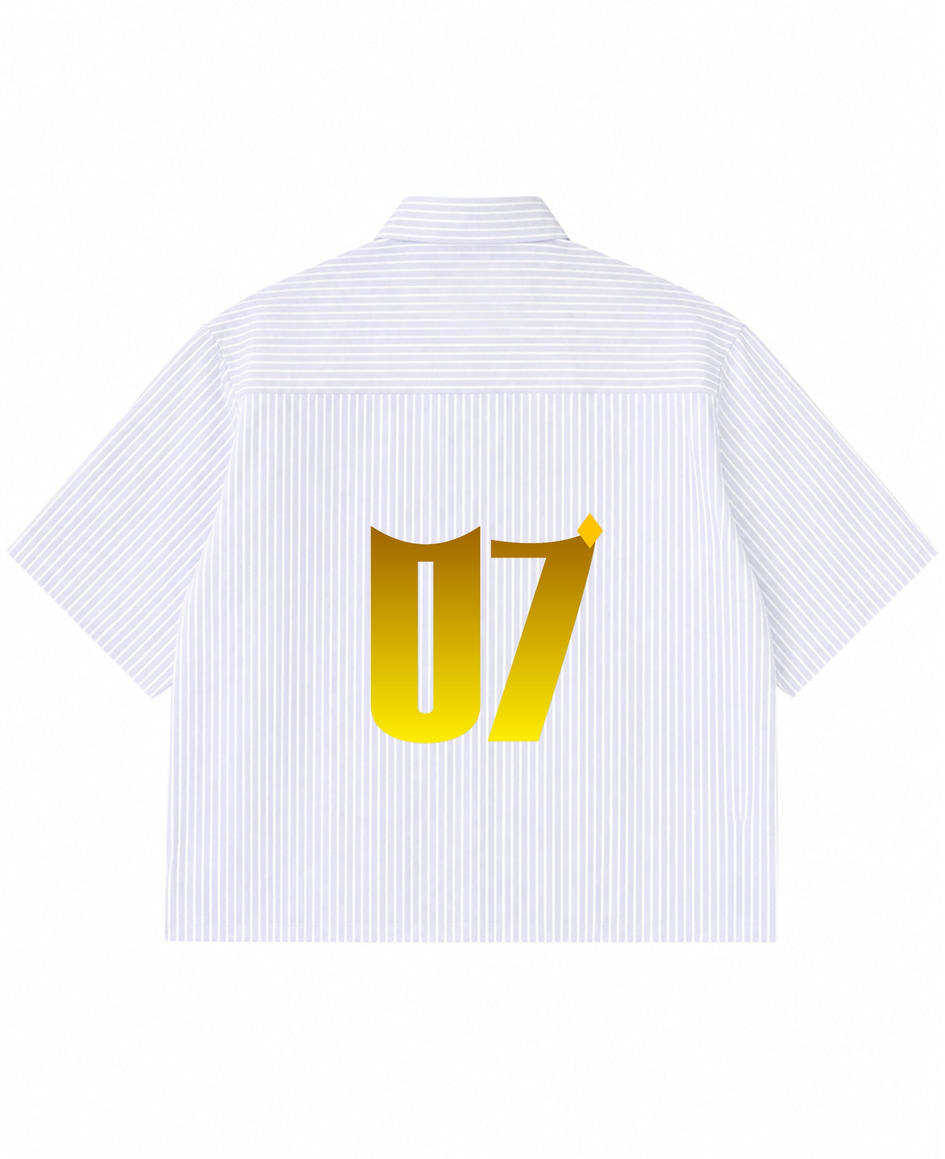 Blue Striped Oxford Boxy Shirt Back Design