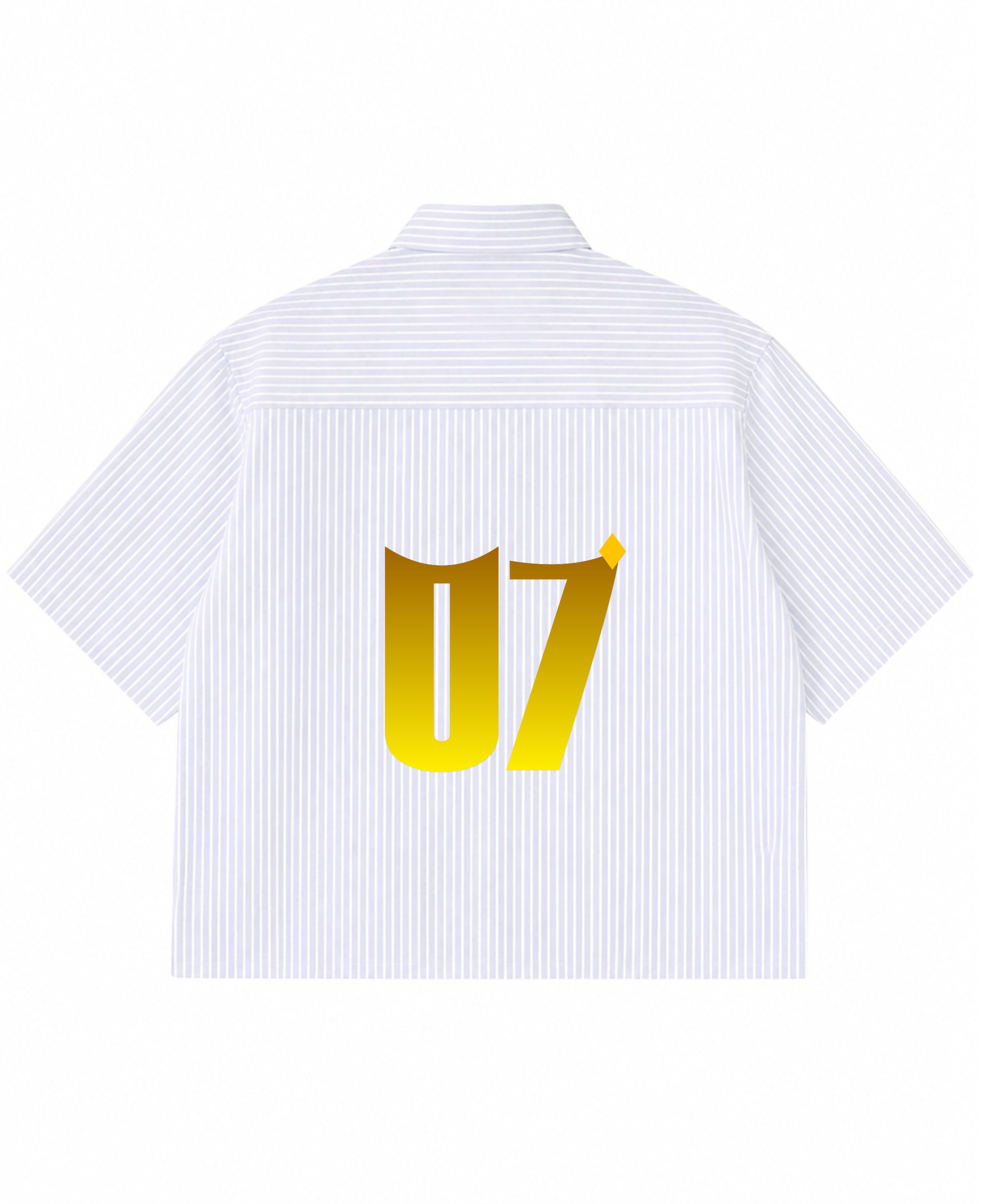 Blue Striped Oxford Boxy Shirt Back Design