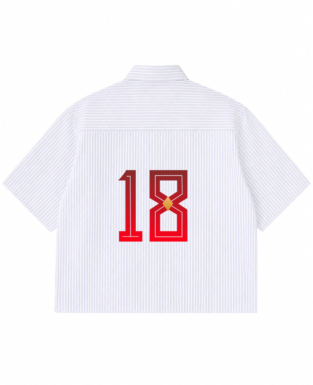 Blue Striped Oxford Boxy Shirt Back Design
