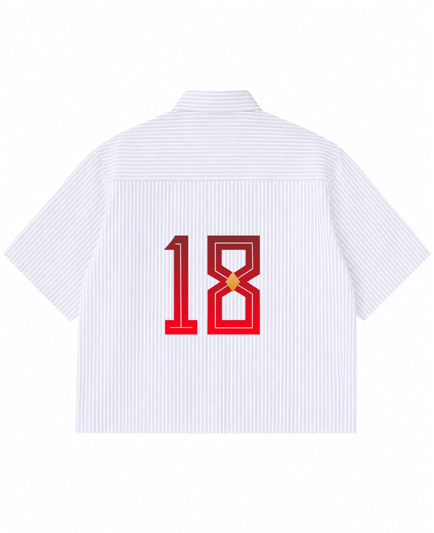 Blue Striped Oxford Boxy Shirt Back Design