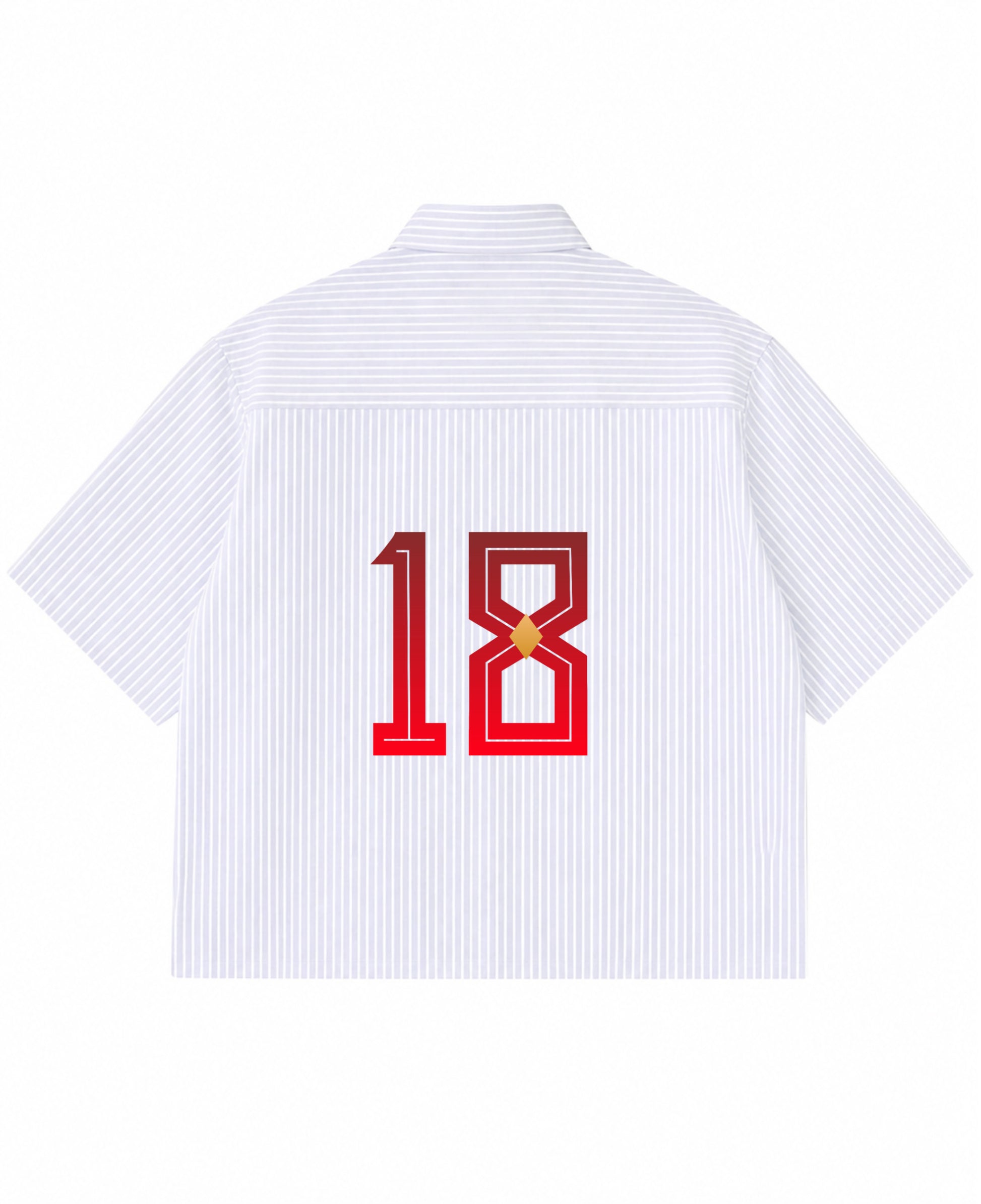Blue Striped Oxford Boxy Shirt Back Design