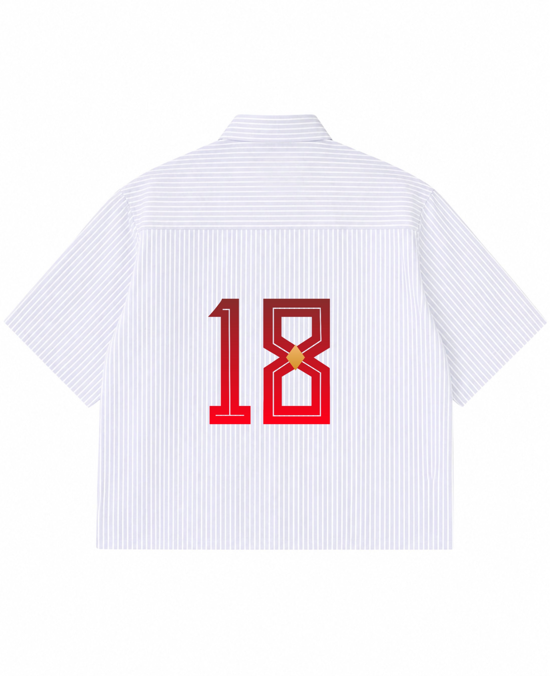 Blue Striped Oxford Boxy Shirt Back Design