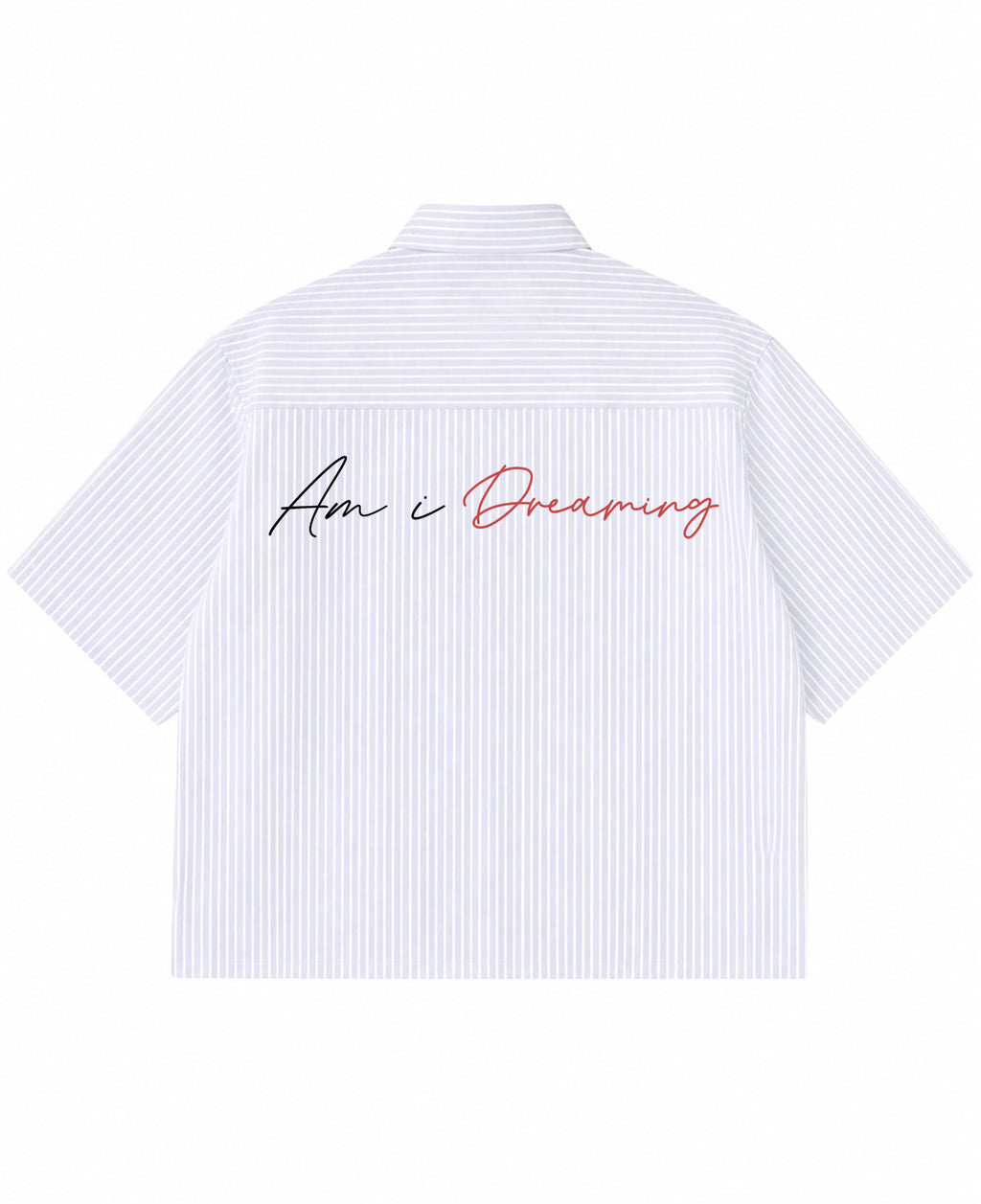 Blue Striped Oxford Boxy Shirt Back Design