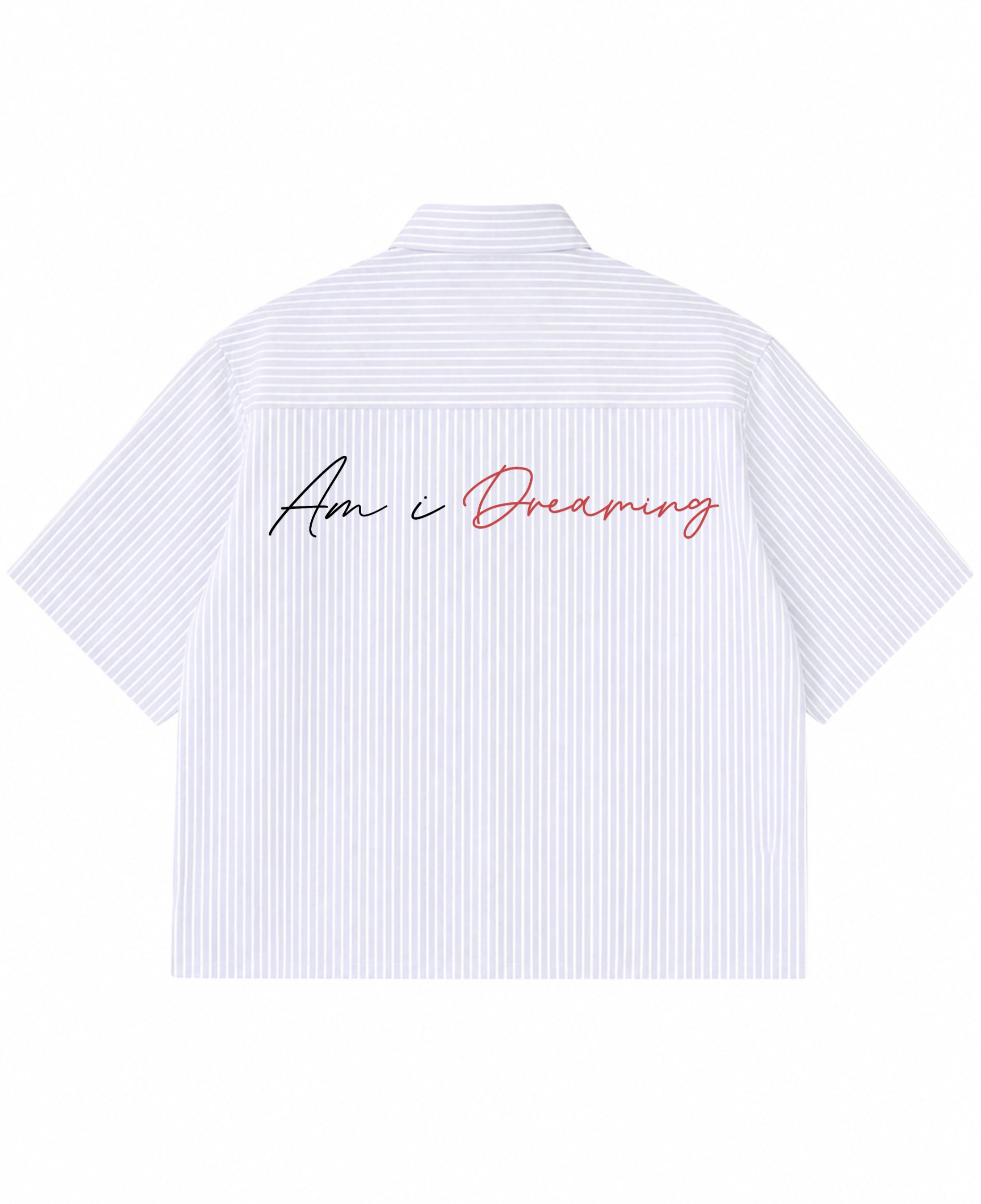 Blue Striped Oxford Boxy Shirt Back Design