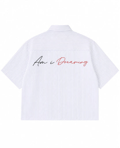 Blue Striped Oxford Boxy Shirt Back Design