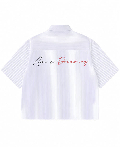 Blue Striped Oxford Boxy Shirt Back Design