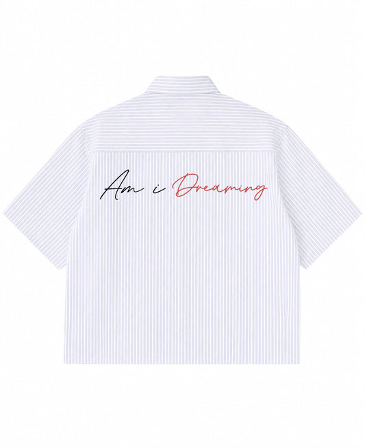 Blue Striped Oxford Boxy Shirt Back Design