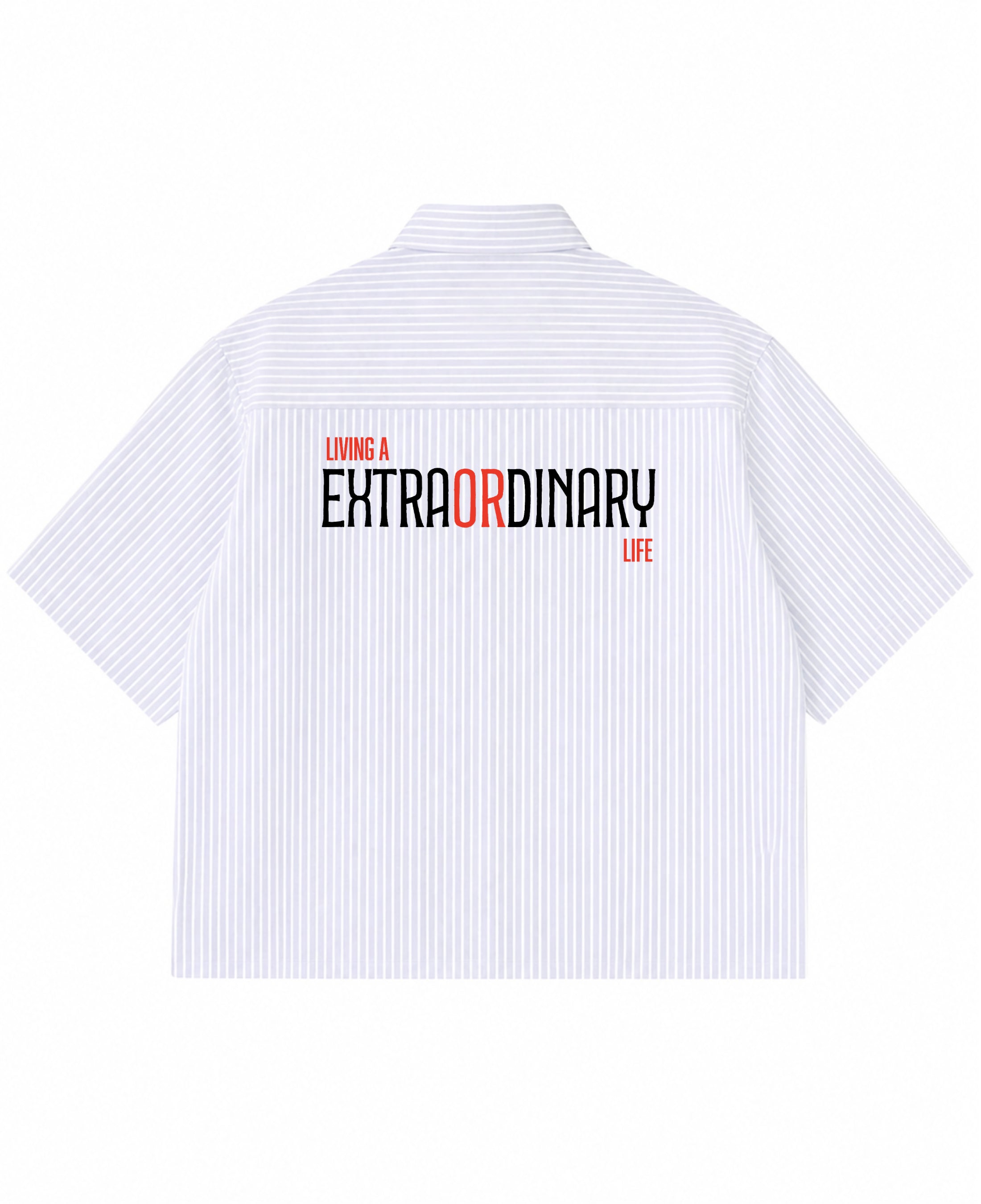 Blue Striped Oxford Boxy Shirt Back Design