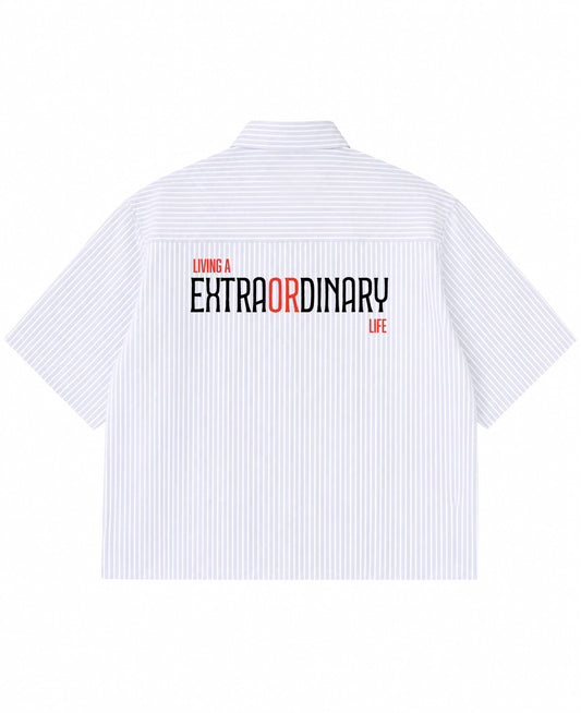 Blue Striped Oxford Boxy Shirt Back Design