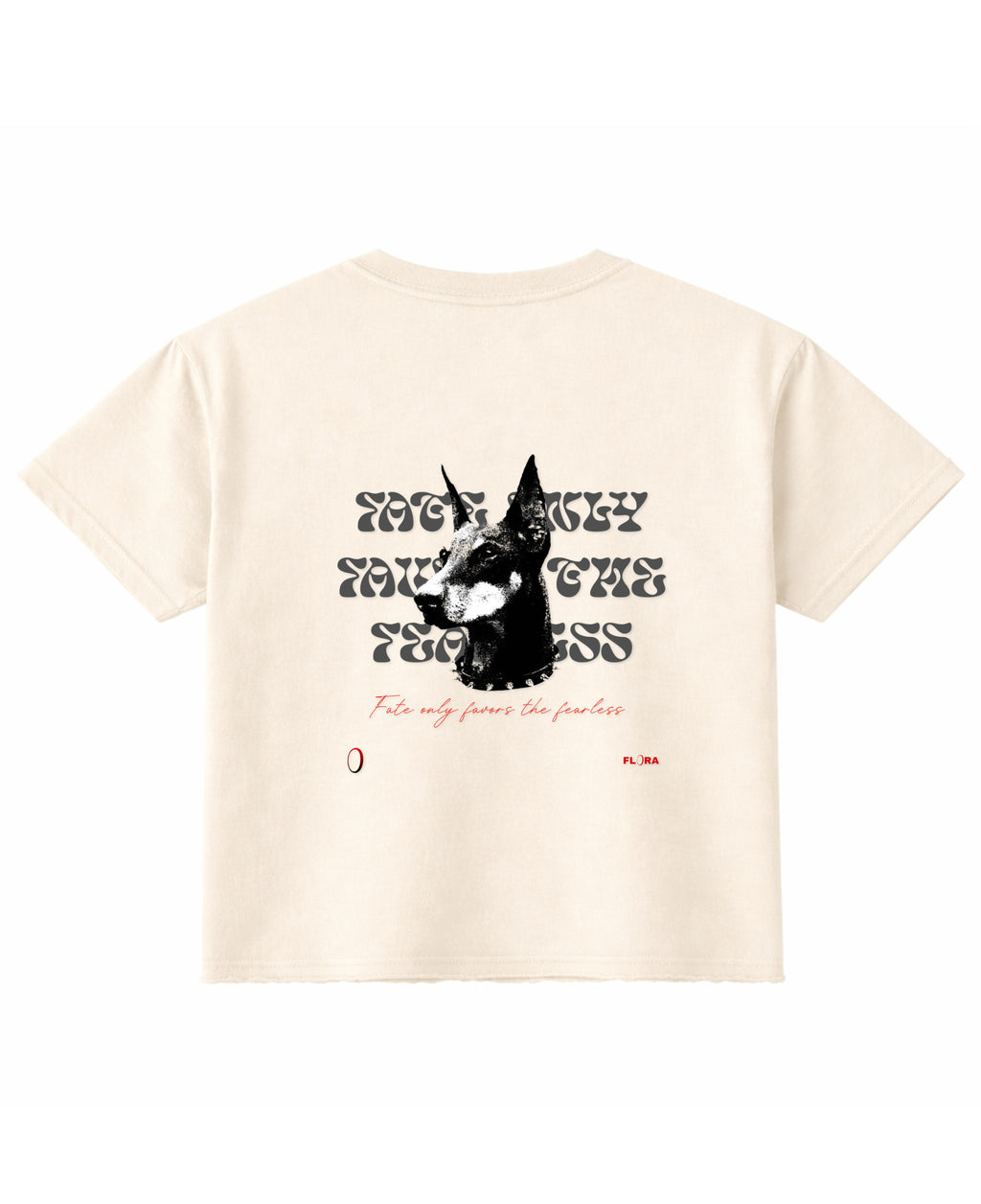 Off White Boxy Fit T-shirt Back Design