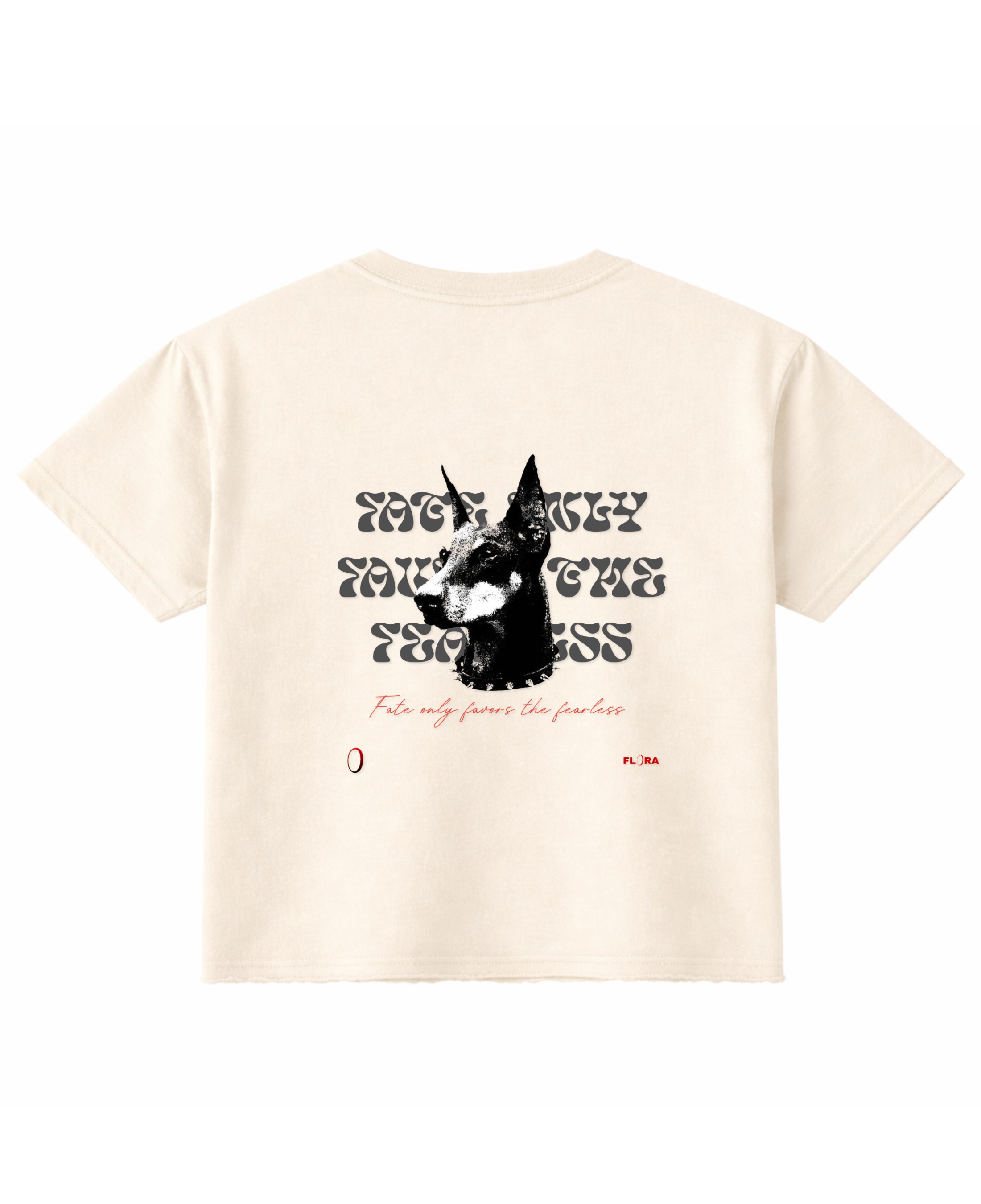 Off White Boxy Fit T-shirt Back Design