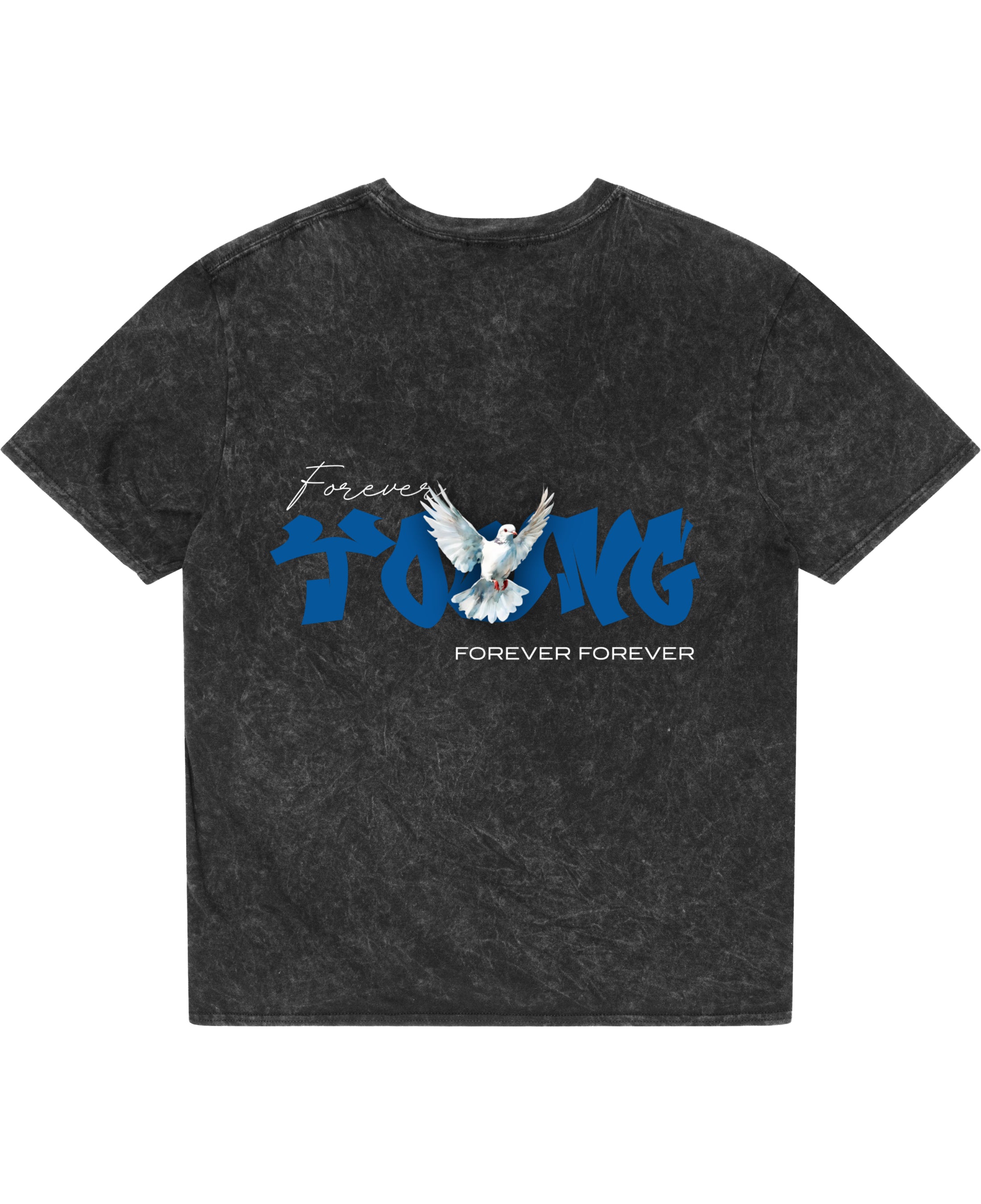 Acidwash Oversized T-shirt Back Design
